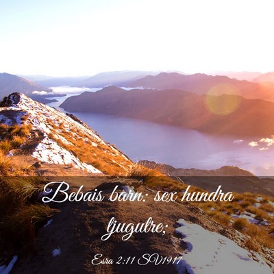 Picture 03 - Esra 2:11 SV1917 - Bebais barn: sex hundra - Bible Verse Picture
