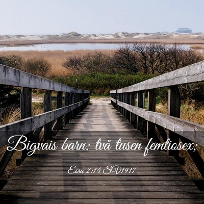 Picture 03 - Esra 2:14 SV1917 - Bigvais barn: två tusen - Bible Verse Picture