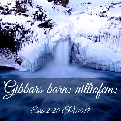 Picture 03 - Esra 2:20 SV1917 - Gibbars barn: - Bible Verse Picture