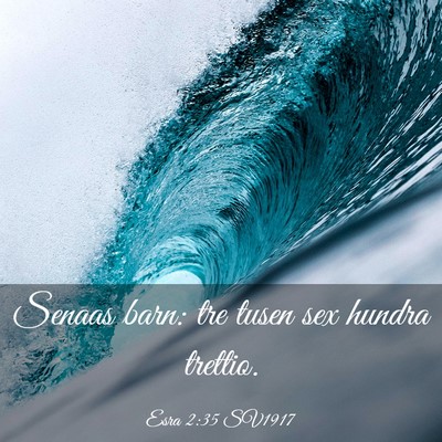 Picture 03 - Esra 2:35 SV1917 - Senaas barn: tre tusen sex hundra - Bible Verse Picture