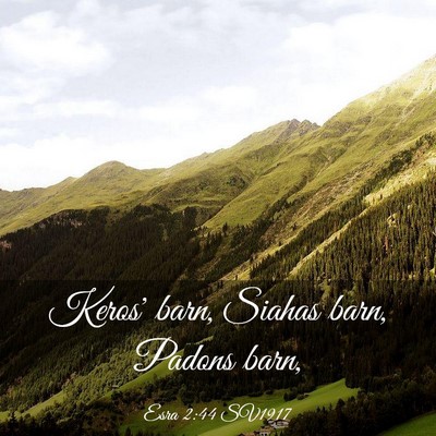 Picture 03 - Esra 2:44 SV1917 - Keros' barn, Siahas barn, Padons - Bible Verse Picture