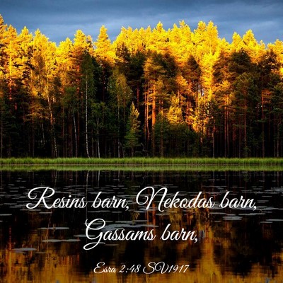 Picture 03 - Esra 2:48 SV1917 - Resins barn, Nekodas barn, Gassams - Bible Verse Picture