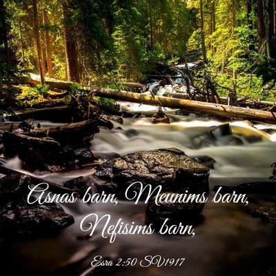 Picture 03 - Esra 2:50 SV1917 - Asnas barn, Meunims barn, Nefisims - Bible Verse Picture