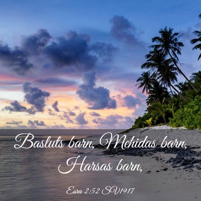 Picture 03 - Esra 2:52 SV1917 - Basluts barn, Mehidas barn, Harsas - Bible Verse Picture