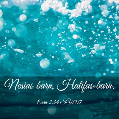 Picture 03 - Esra 2:54 SV1917 - Nesias barn, Hatifas - Bible Verse Picture