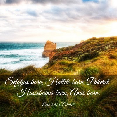 Picture 03 - Esra 2:57 SV1917 - Sefatjas barn, Hattils barn, Pokeret-Hassebaims - Bible Verse Picture