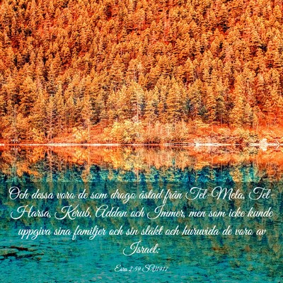 Picture 03 - Esra 2:59 SV1917 - Och dessa voro de som drogo åstad från - Bible Verse Picture