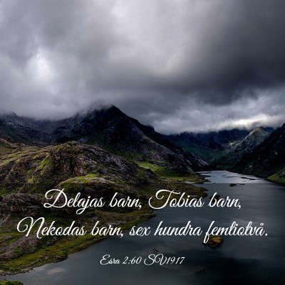 Picture 03 - Esra 2:60 SV1917 - Delajas barn, Tobias barn, Nekodas barn, sex - Bible Verse Picture