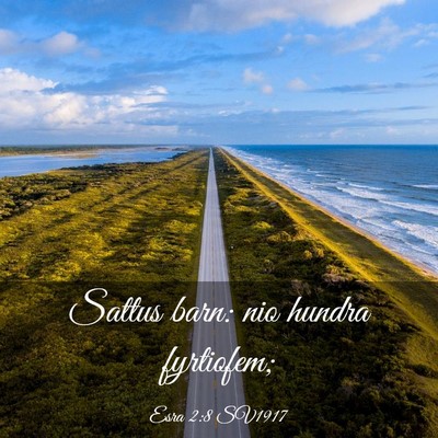 Picture 03 - Esra 2:8 SV1917 - Sattus barn: nio hundra - Bible Verse Picture