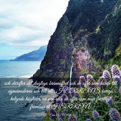 Picture 03 - Esra 3:5 SV1917 - och därefter det dagliga brännoffret och de - Bible Verse Picture