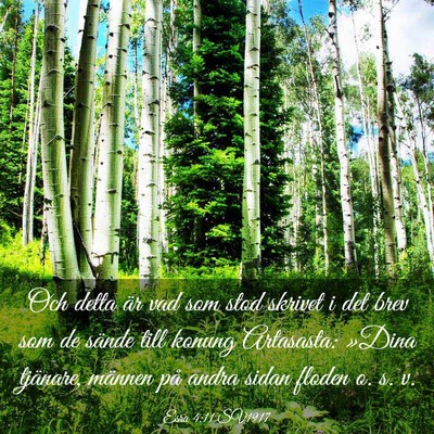 Picture 03 - Esra 4:11 SV1917 - Och detta är vad som stod skrivet i det brev som - Bible Verse Picture