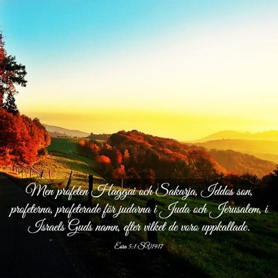 Picture 03 - Esra 5:1 SV1917 - Men profeten Haggai och Sakarja, Iddos son, - Bible Verse Picture