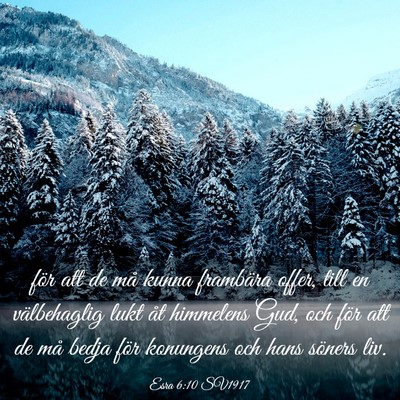 Picture 03 - Esra 6:10 SV1917 - för att de må kunna frambära offer, till en - Bible Verse Picture
