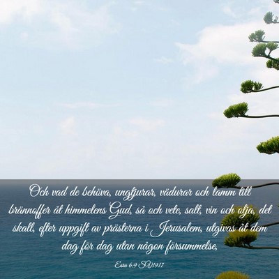 Picture 03 - Esra 6:9 SV1917 - Och vad de behöva, ungtjurar, vädurar och lamm - Bible Verse Picture