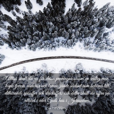 Picture 03 - Esra 7:17 SV1917 - Alltså skall du nu för dessa penningar såsom - Bible Verse Picture