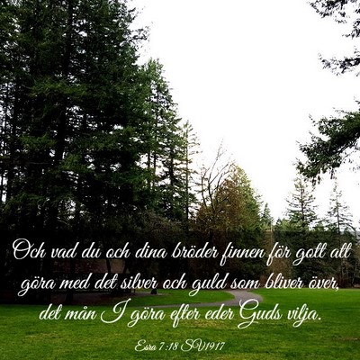 Picture 03 - Esra 7:18 SV1917 - Och vad du och dina bröder finnen för gott att - Bible Verse Picture