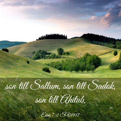Picture 03 - Esra 7:2 SV1917 - son till Sallum, son till Sadok, son till - Bible Verse Picture