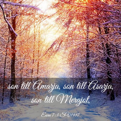 Picture 03 - Esra 7:3 SV1917 - son till Amarja, son till Asarja, son till - Bible Verse Picture
