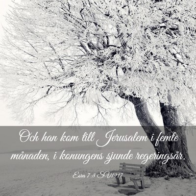 Picture 03 - Esra 7:8 SV1917 - Och han kom till Jerusalem i femte månaden, i - Bible Verse Picture