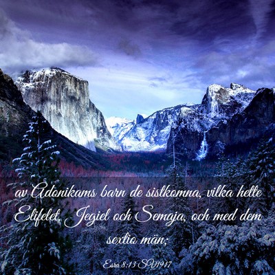 Picture 03 - Esra 8:13 SV1917 - av Adonikams barn de sistkomna, vilka hette - Bible Verse Picture
