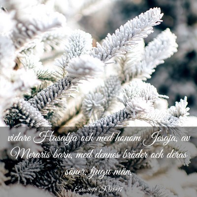 Picture 03 - Esra 8:19 SV1917 - vidare Hasabja och med honom Jesaja, av Meraris - Bible Verse Picture