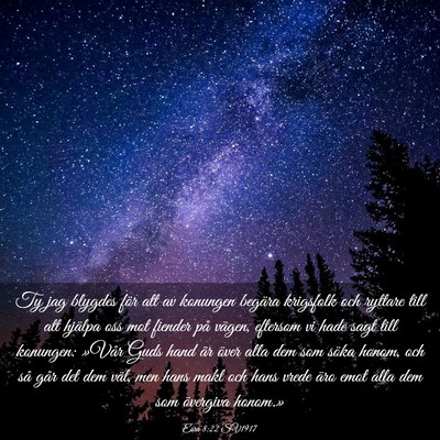 Picture 03 - Esra 8:22 SV1917 - Ty jag blygdes för att av konungen begära - Bible Verse Picture