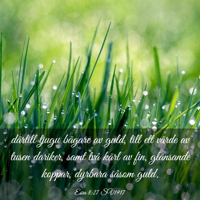 Picture 03 - Esra 8:27 SV1917 - därtill tjugu bägare av guld, till ett värde - Bible Verse Picture