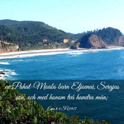 Picture 03 - Esra 8:4 SV1917 - av Pahat-Moabs barn Eljoenai, Serajas son, och - Bible Verse Picture