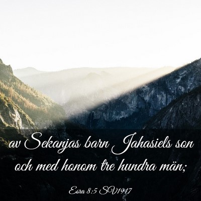 Picture 03 - Esra 8:5 SV1917 - av Sekanjas barn Jahasiels son och med honom tre - Bible Verse Picture
