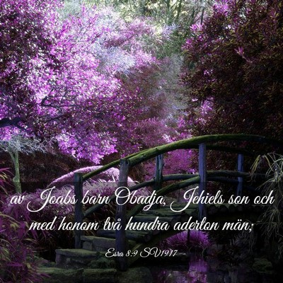 Picture 03 - Esra 8:9 SV1917 - av Joabs barn Obadja, Jehiels son och med honom - Bible Verse Picture