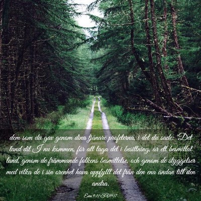Picture 03 - Esra 9:11 SV1917 - dem som du gav genom dina tjänare profeterna, i - Bible Verse Picture