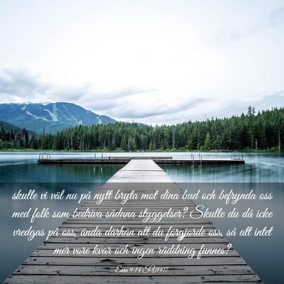 Picture 03 - Esra 9:14 SV1917 - skulle vi väl nu på nytt bryta mot dina bud och - Bible Verse Picture