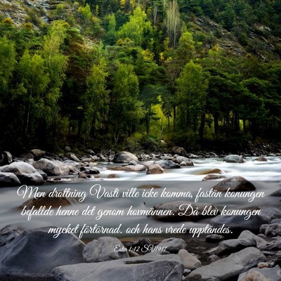 Picture 03 - Ester 1:12 SV1917 - Men drottning Vasti ville icke komma, fastän - Bible Verse Picture