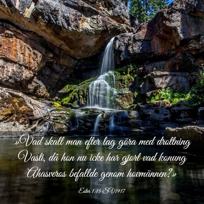 Picture 03 - Ester 1:15 SV1917 - »Vad skall man efter lag göra med drottning - Bible Verse Picture
