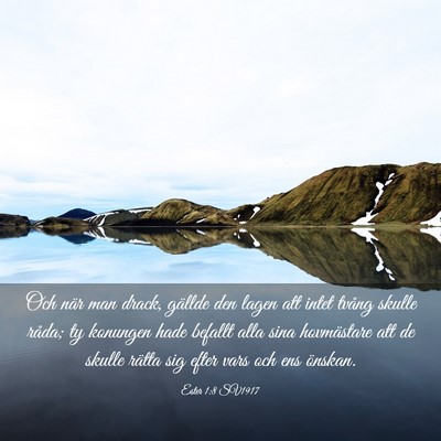Picture 03 - Ester 1:8 SV1917 - Och när man drack, gällde den lagen att intet - Bible Verse Picture
