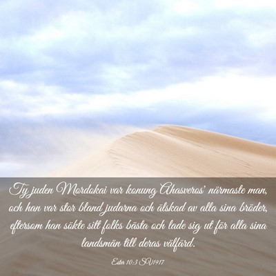 Picture 03 - Ester 10:3 SV1917 - Ty juden Mordokai var konung Ahasveros' närmaste - Bible Verse Picture
