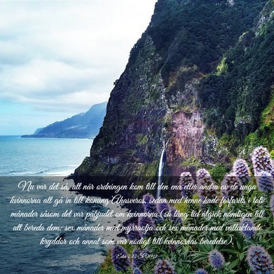 Picture 03 - Ester 2:12 SV1917 - Nu var det så, att när ordningen kom till den - Bible Verse Picture