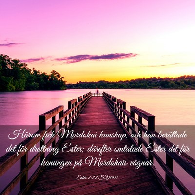 Picture 03 - Ester 2:22 SV1917 - Härom fick Mordokai kunskap, och han berättade - Bible Verse Picture