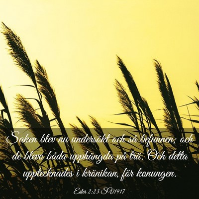 Picture 03 - Ester 2:23 SV1917 - Saken blev nu undersökt och så befunnen; och de - Bible Verse Picture