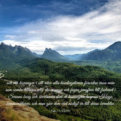 Picture 03 - Ester 2:3 SV1917 - och må konungen i sitt rikes alla hövdingdömen - Bible Verse Picture