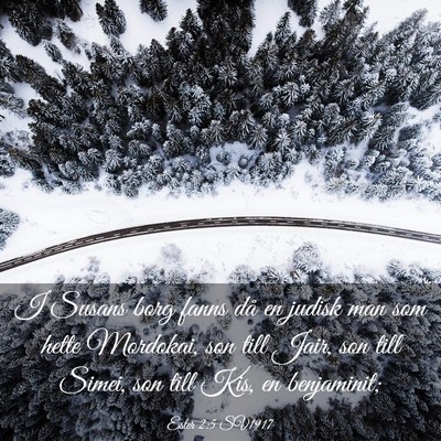 Picture 03 - Ester 2:5 SV1917 - I Susans borg fanns då en judisk man som hette - Bible Verse Picture