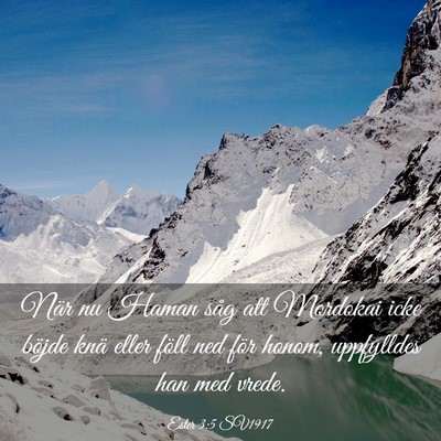 Picture 03 - Ester 3:5 SV1917 - När nu Haman såg att Mordokai icke böjde knä - Bible Verse Picture