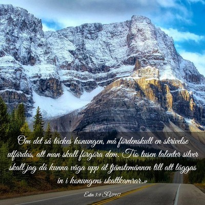 Picture 03 - Ester 3:9 SV1917 - Om det så täckes konungen, må fördenskull en - Bible Verse Picture