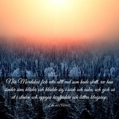 Picture 03 - Ester 4:1 SV1917 - När Mordokai fick veta allt vad som hade skett, - Bible Verse Picture