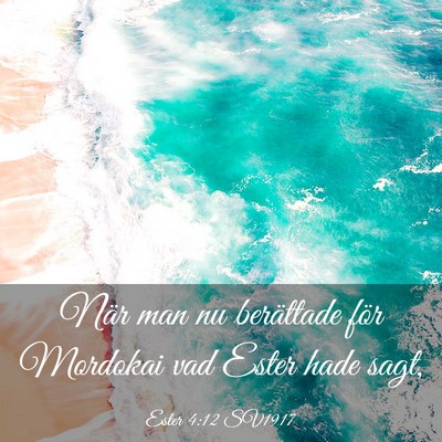 Picture 03 - Ester 4:12 SV1917 - När man nu berättade för Mordokai vad Ester - Bible Verse Picture