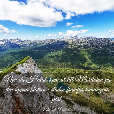 Picture 03 - Ester 4:6 SV1917 - När då Hatak kom ut till Mordokai på den - Bible Verse Picture