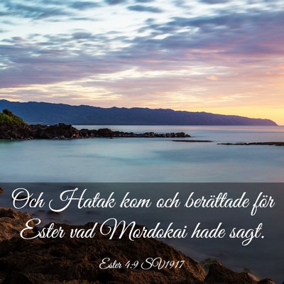 Picture 03 - Ester 4:9 SV1917 - Och Hatak kom och berättade för Ester vad - Bible Verse Picture