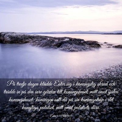 Picture 03 - Ester 5:1 SV1917 - På tredje dagen klädde Ester sig i konungslig - Bible Verse Picture