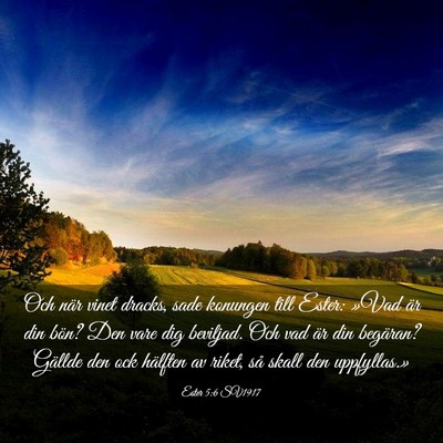 Picture 03 - Ester 5:6 SV1917 - Och när vinet dracks, sade konungen till Ester: - Bible Verse Picture