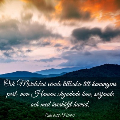 Picture 03 - Ester 6:12 SV1917 - Och Mordokai vände tillbaka till konungens port; - Bible Verse Picture
